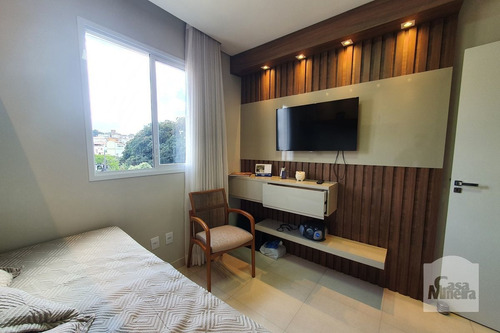 Imagem 13 de 15 de Apartamento À Venda No Santa Amélia - Código 336066 - 336066