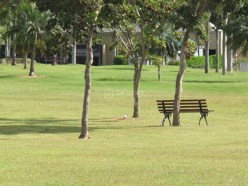 Imagem 12 de 18 de Terreno À Venda Em Sítios De Recreio Gramado - Te017283