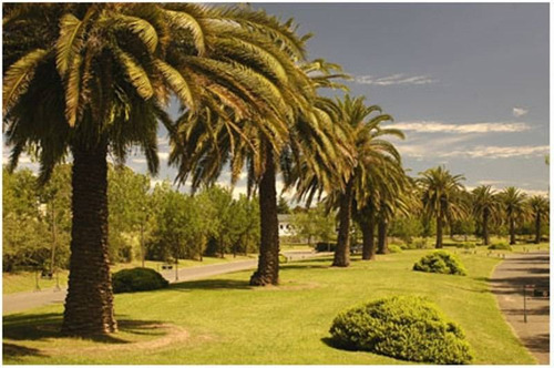 Lote En Venta Septiembre Escobar