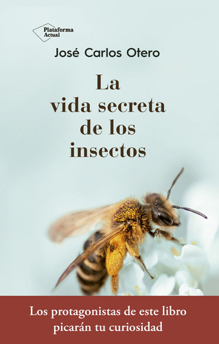 La Vida Secreta De Los Insectos - Otero Jose Carlos