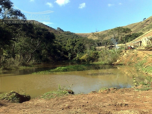 Imagem 9 de 15 de Terreno Em Coqueiros - Paty Do Alferes - 1580