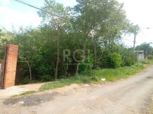 Terreno Em Hípica - Mi270533
