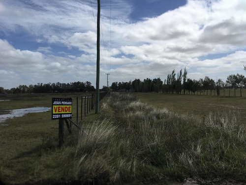 Tapalque: 1 Hectarea En Venta (frente Termas)
