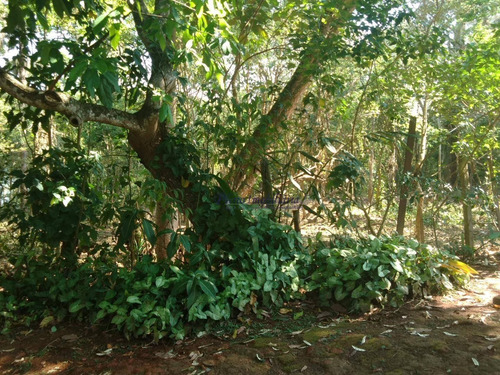 Terreno À Venda, 5000 M² Por R$ 900.000,00 - Rio Abaixo - Mairiporã/sp - Te0051