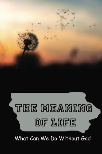 Libro The Meaning Of Life-inglés