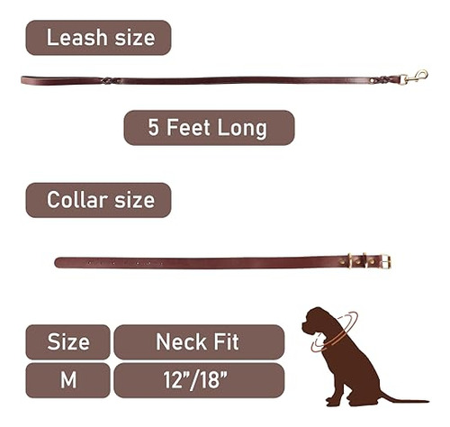 Conjunto De Collar Y Correa De Cuero Resistente Para Perros