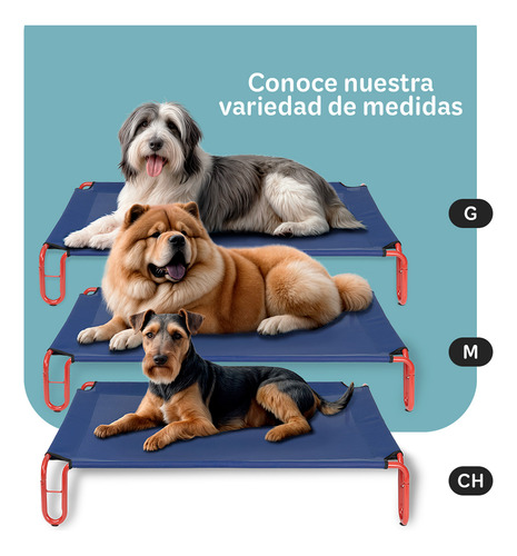 Cama Elevada para Perro con Malla Transpirable ideal en Calor, Catre de Mascotas Esquimal Pets. Azul-Rojo, 122x85x20cm