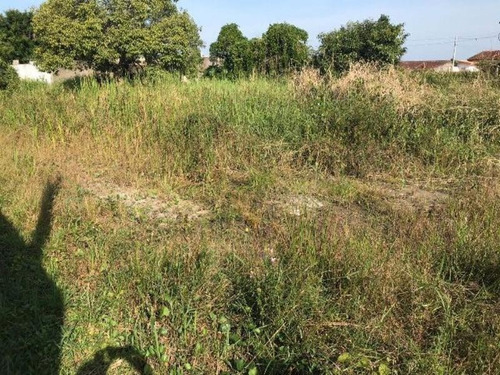 Imagem 4 de 4 de Vendo Terreno No Jardim Regina Em Itanhaém - 4359 | Npc