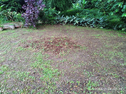 Vendo Terreno Propio En Valle Verde, El Limón, Mbi. Maracay.