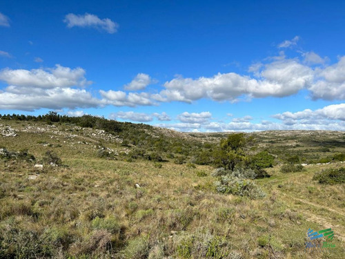 Imagen 16 de 24 de Lindo Campo Para Fraccionar, Sobre Ruta Y A Poco Mas De 1 Hora De Punta
