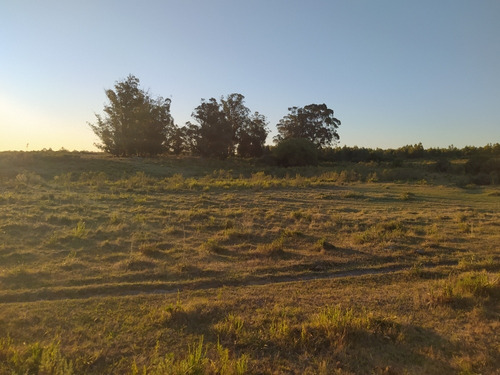 15 Has En Solis Grande, Departamento De Maldonado