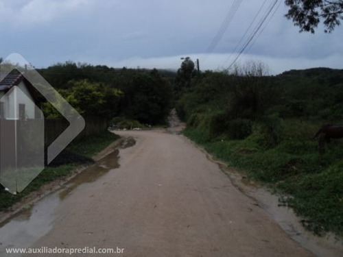 Imagem 3 de 15 de Terreno - Restinga - Ref: 170607 - V-170607