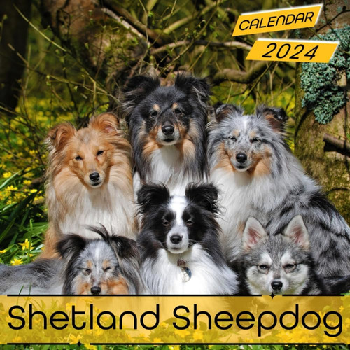 Libro: Shetland Sheepdog Calendar 2024: 12-month Calendar, J