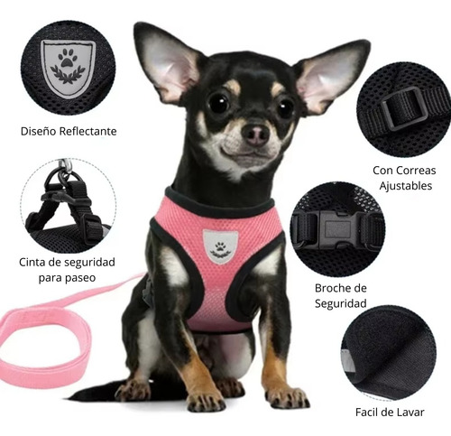 Accesorios De Ropa Para Perro/gato Con Correa Transpirable Negro M Malla
