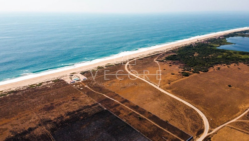Imagen 9 de 22 de Terreno Frente A Playa De Acapulco, Guerrero