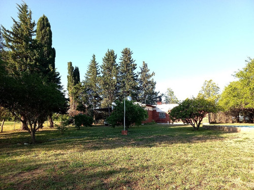 Imagen 3 de 14 de Campo Productivo En Leandro Alem