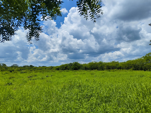 Venta De Rancho En Zona Ganadera De Yucatán, Con Cenotes, 453 Has