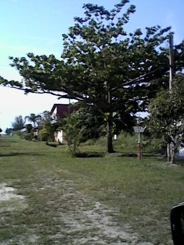 Imagem 8 de 14 de Lotes Ilha Comprida