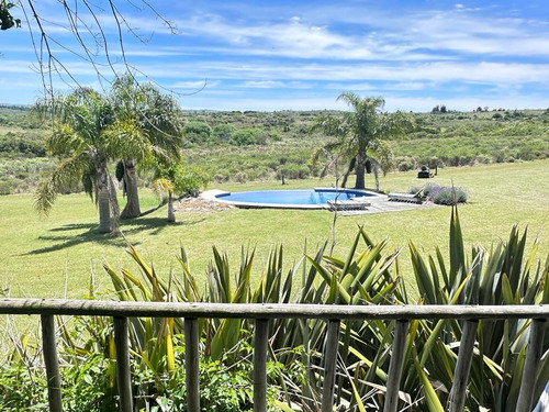 Maldonado Venta Chacra 38 Hectareas 50km De Punta Del Este
