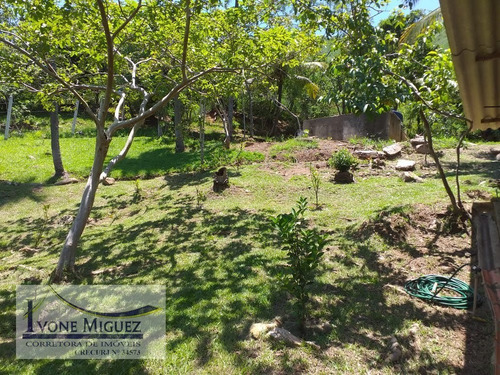 Imagem 5 de 15 de Sítio Em Santa Branca - Miguel Pereira - 3174