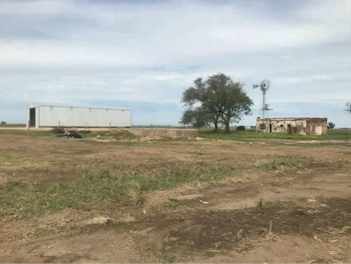 Quinta De 50x88 Mts En Coronel Dorrego , Guillermo Aranda Y Ruta 3 