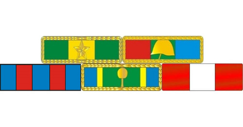 Imagem 1 de 3 de Placa Com 5 Barretas De Medalhas - Fixação Por Imã