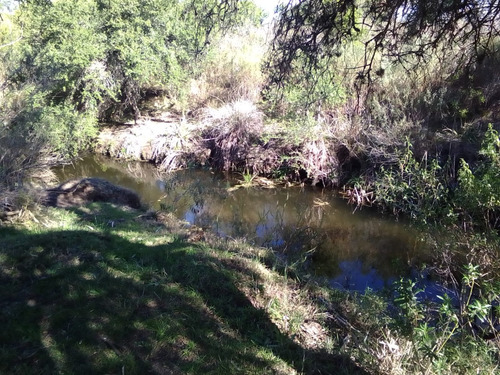Campo Agrícola Ganadero En Canelones