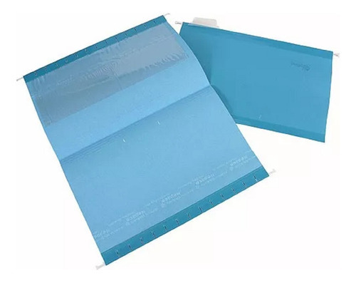 Carpeta Colgante Nepaco Plus X 25u C/divisiones Color Azul oscuro