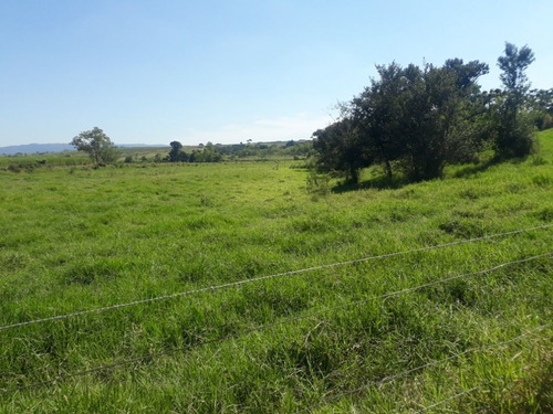 Imagem 21 de 30 de Sítio À Venda, 36300 M² Por R$ 850.000,00 - Zona Rural - Charqueada/sp - Si0008