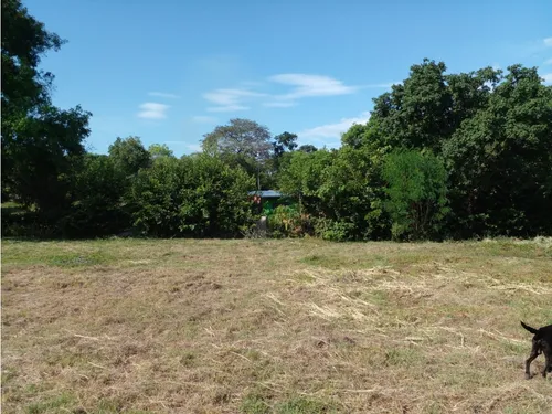 Vendo O Permuto Lote En Ricaurte Via Agua De Dios