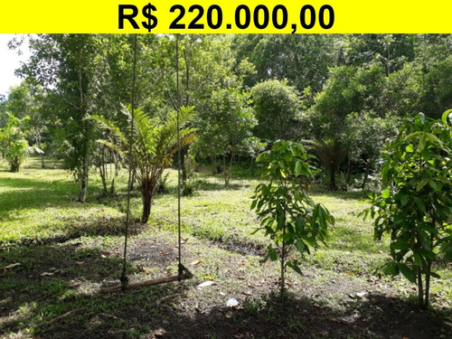 Sitio - St00009 - 33662085