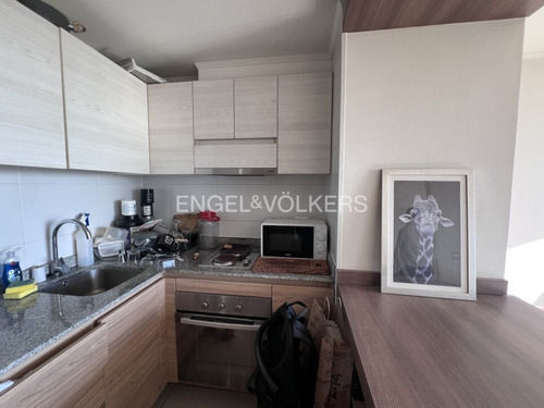 Departamento 1d/1b Calle Freire