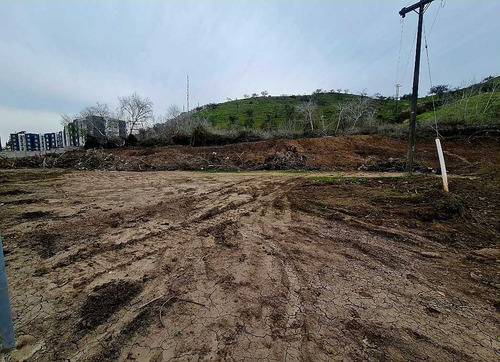 Atención Inmobiliarias Constructoras 14.533 M (75903)