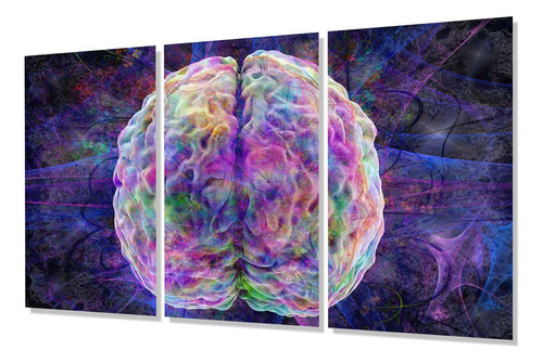 Cuadro Trip 60x90 Neurona Cerebro De Colores Arte Diseño