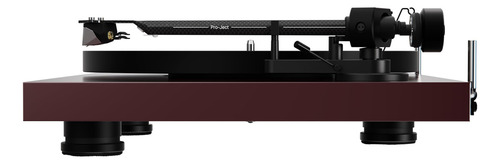 Tocadiscos Pro-ject Debut Evo 2 Audiophile Negro Satinado