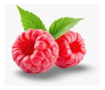 Planta Frambuesa Roja Blanco