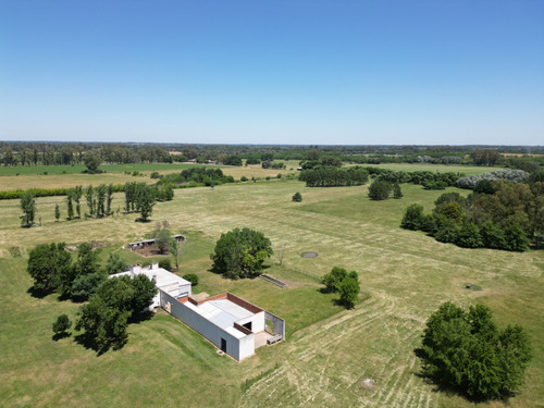 Campo En Pilar