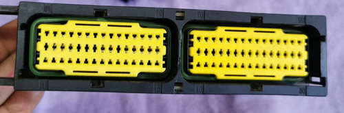 Arnes Conector De Computadora Platina Clio 2004-2007 1.6l (Usado)
