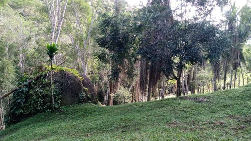 Imagem 10 de 14 de Chácara Com Piscina Lago Pomar 10.000 M² Bem Localizada