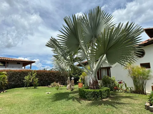 En Venta Finca Con Gampling En Guarne Antioquia, En Vereda Toldas