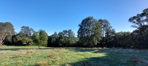 Terreno Orilla Rio Maullin