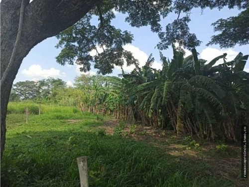 Imagen 13 de 14 de Productiva Finca En Elorza Apure, Acepta Criptomoneda