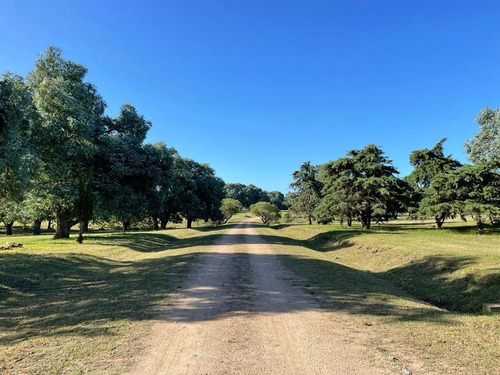 Terreno En Venta En Don Miguel