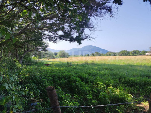 Parcela O Terreno En Venta Ejido La Estancia, Colima