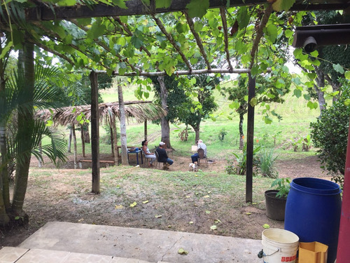 Imagen 15 de 19 de Finca De Limon Caucagua Miranda Sector Rio Negro Municipio Acevedo
