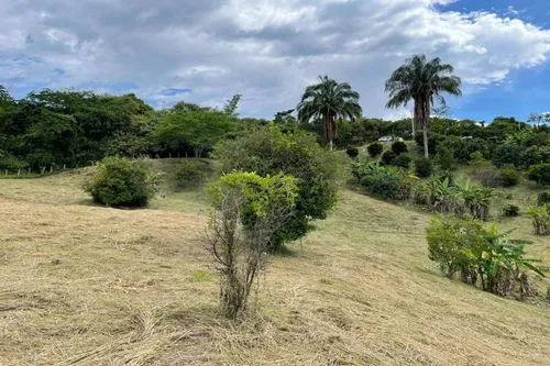 Lote En Venta En Anapoima. Cod V7450
