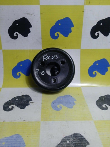 Polia Bomba Agua Focus Duratec 2.0 2009-13 Ecosport (Usado)