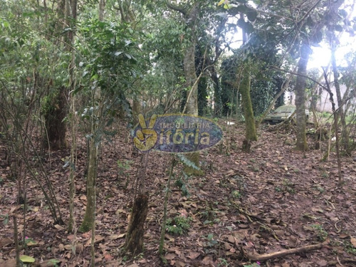 Imagem 3 de 9 de Terreno Para Venda No Bairro Alvarenga / Las Palmas, 5061 M - 10720