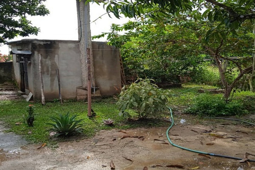 Imagen 14 de 14 de Zch Asein P1447 Vende Mini-finca En El Sector El Encanto En Tocuyito.municipio Libertador. Estado Carabobo