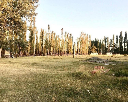 Imagen 4 de 8 de Loteo San Roman, Plottier